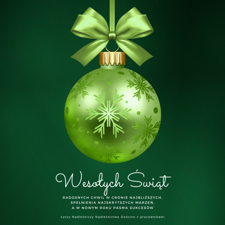 Życzenia na Boże Narodzenie oraz Nowy Rok 2025