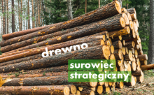 Drewno surowcem strategicznym